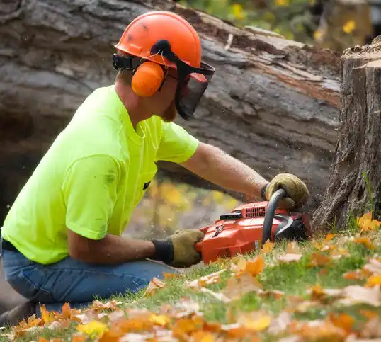 tree services Hoosick Falls